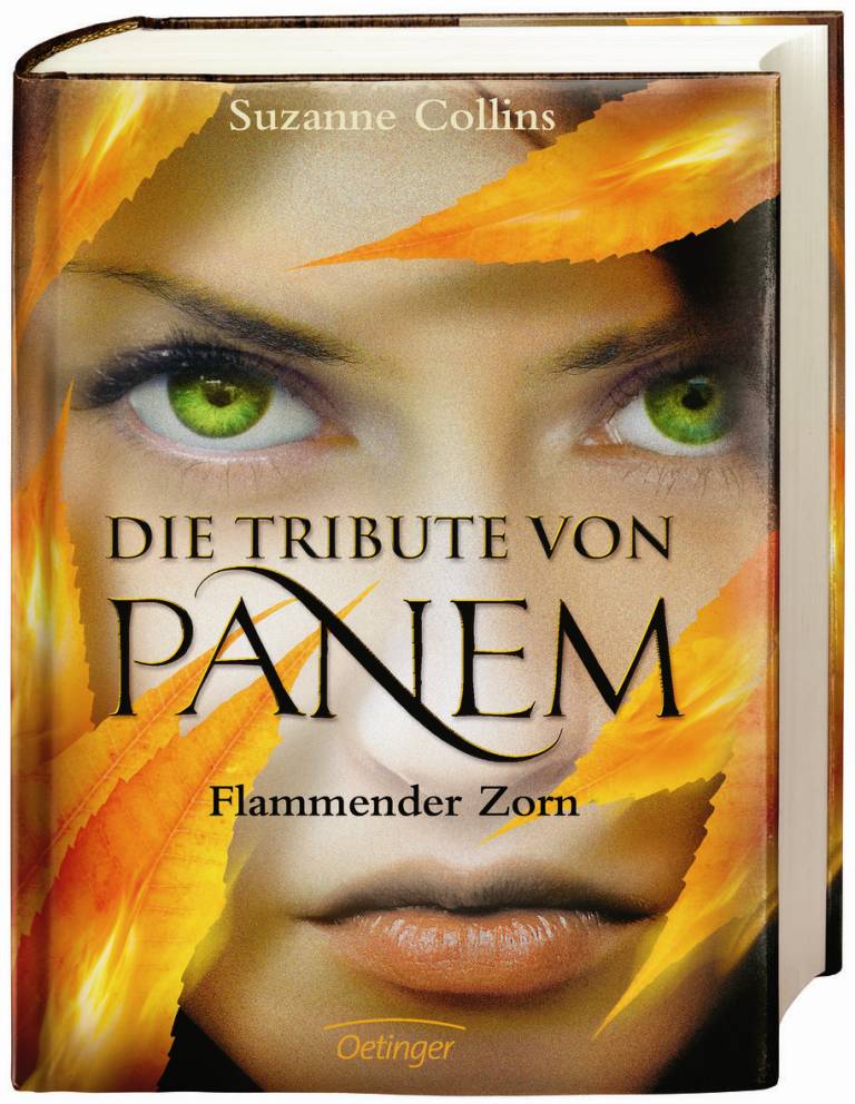 cover_Flammender Zorn